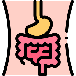 digestive-system